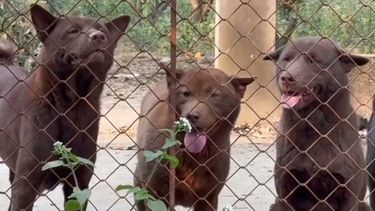 Nay im lặng quá không có quen 😆