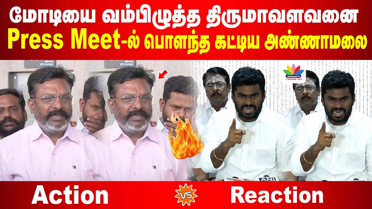 Wanted-ஆக சிக்கிய திருமாவளவன் | புரியும் மொழியில் அண்ணாமலை தக்க பதிலடி | Annamalai Vs Thirumavalavan