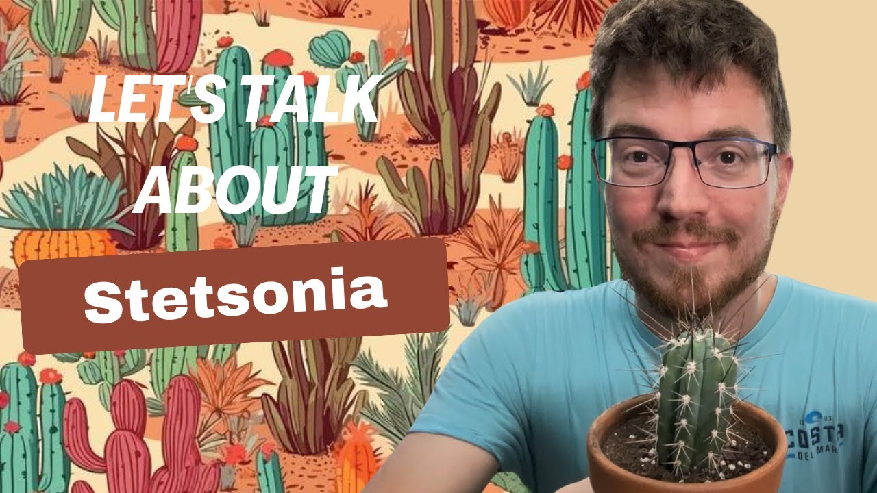 Let's Talk about Stetsonia