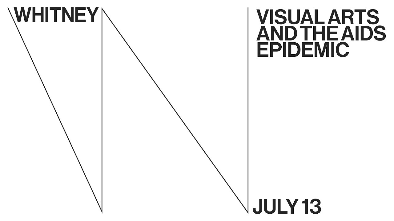 Visual Arts and the AIDS Epidemic