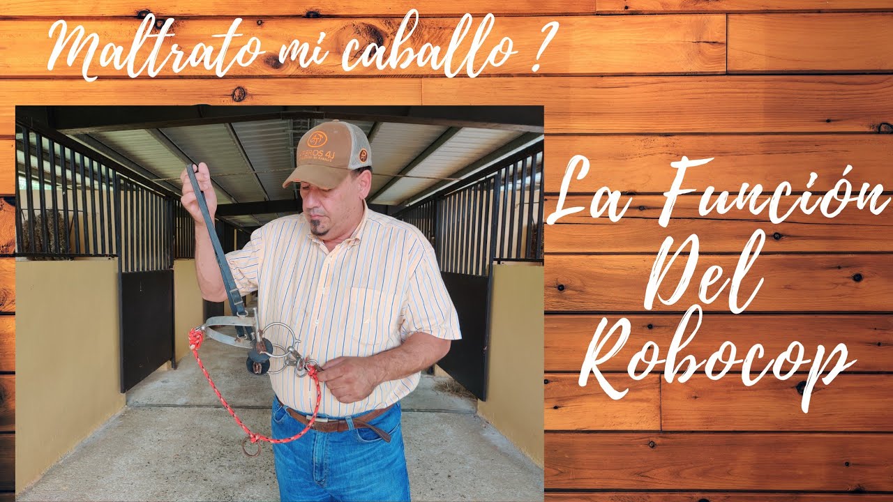 EL ROBOCOP:  MALTRATA NUESTRO CABALLO?
