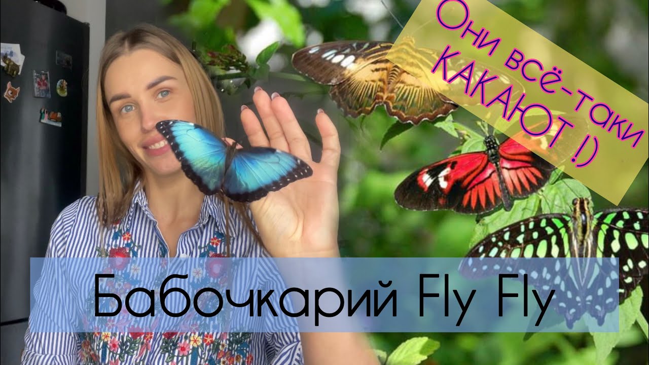Как рождается бабочка 🦋 БАБОЧКАРИЙ флай fly 🪰 подарок детям или взрослым?