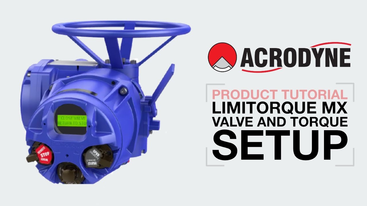 Valve Setup and Torque Setup of Limitorque MX Actuator