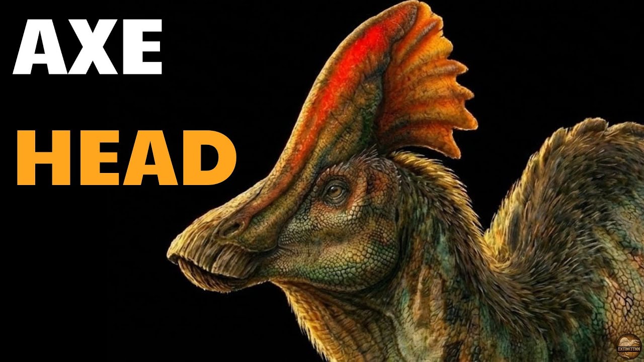 Olorotitan : The Mystery of the Axe-Shaped Helmet Explained