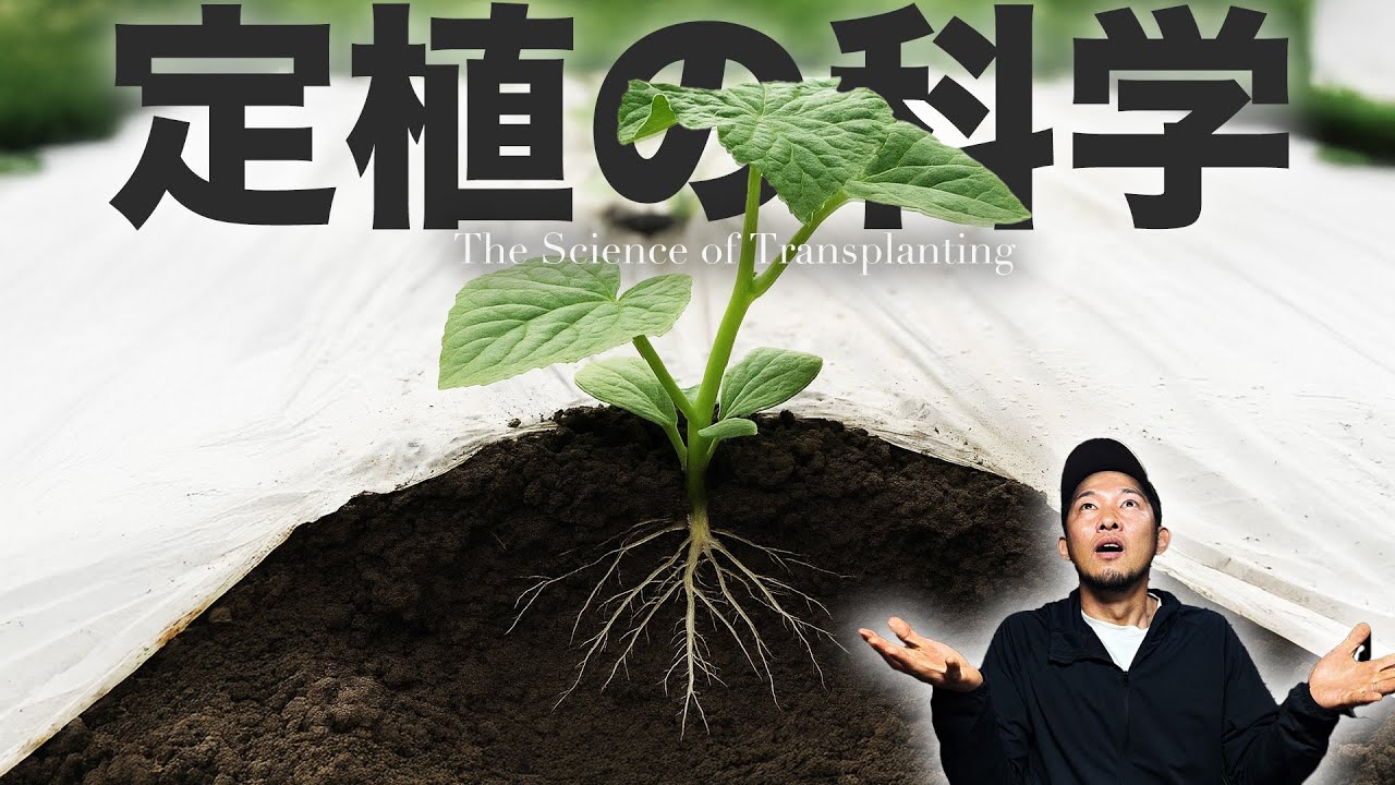 定植後の活着を進める【ナス・トマト・キュウリ・ピーマン他】