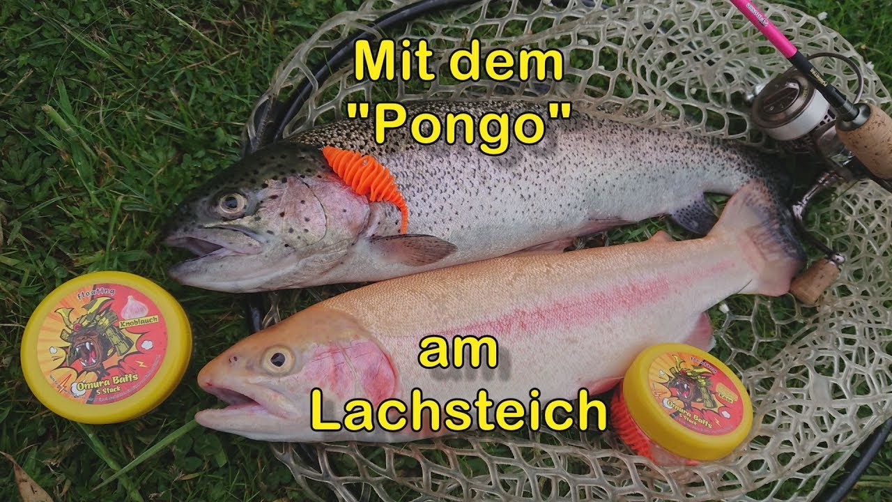 Mit dem Pongo am Lachsteich