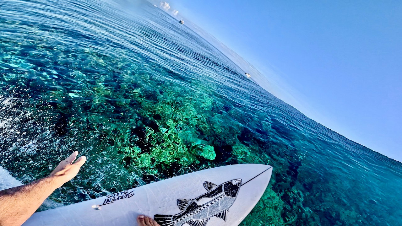 #04 SURFING FISHING GBR Traveling Australia By Boat