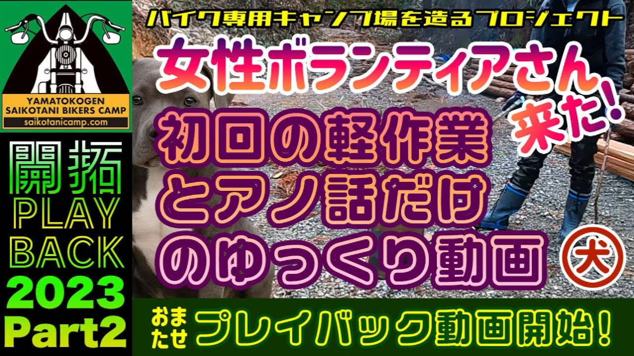 キャンプ場開拓プレイバック＃2：女性ボランティアさん来た＆世間話でゆっくり動画の巻 #キャンプ場作り #アメリカンブリー #柴犬 （2023/1）