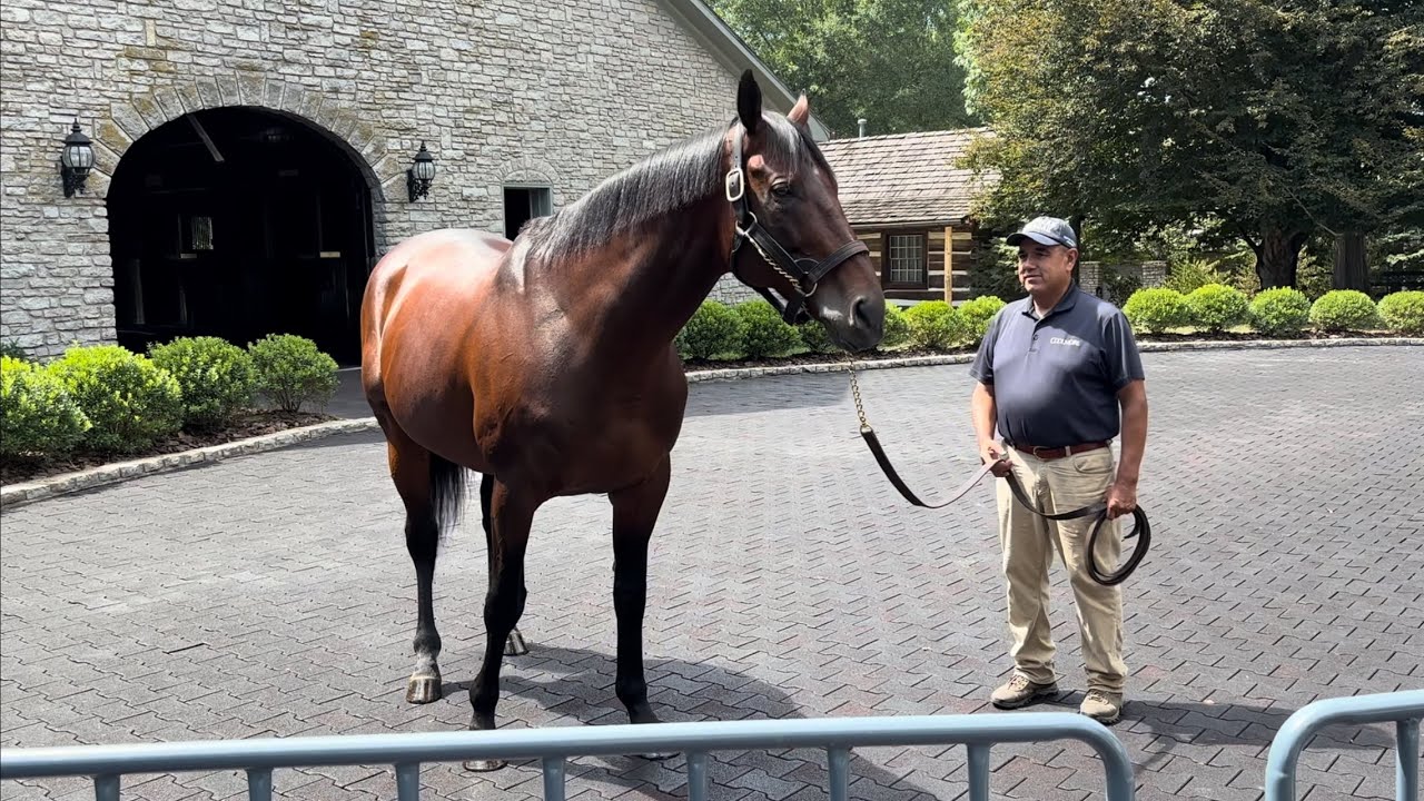 Coolmore America Tour: AMERICAN PHAROAH, JUSTIFY + MORE 