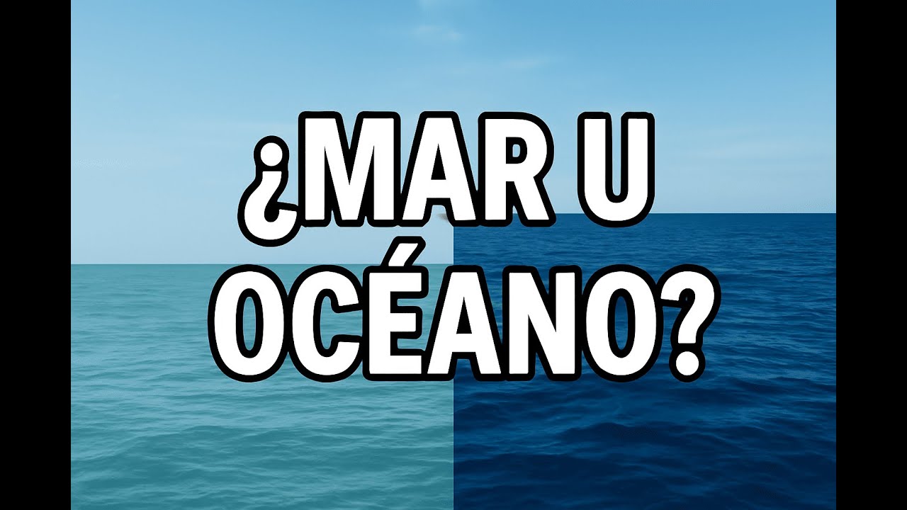 ¿Mar u Océano? ¡Diferencias que Casi Nadie Conoce!