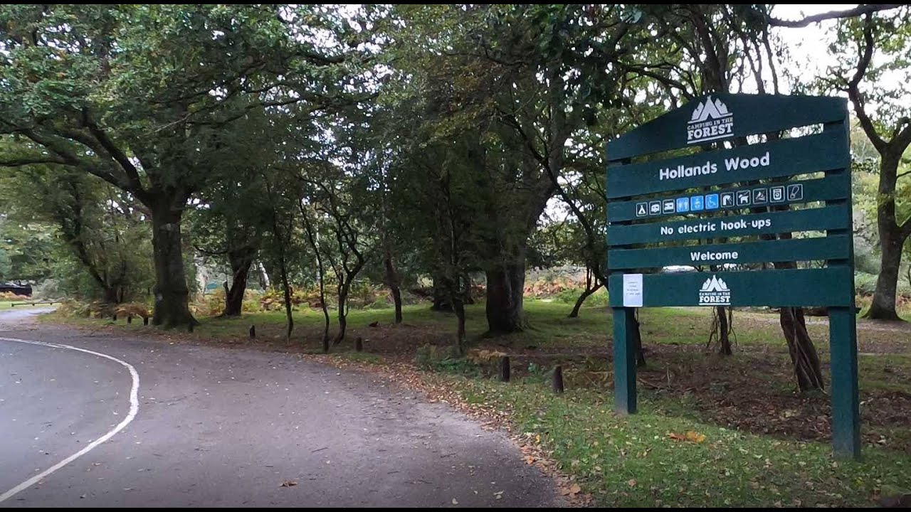 Holland Wood campsite in the New Forest