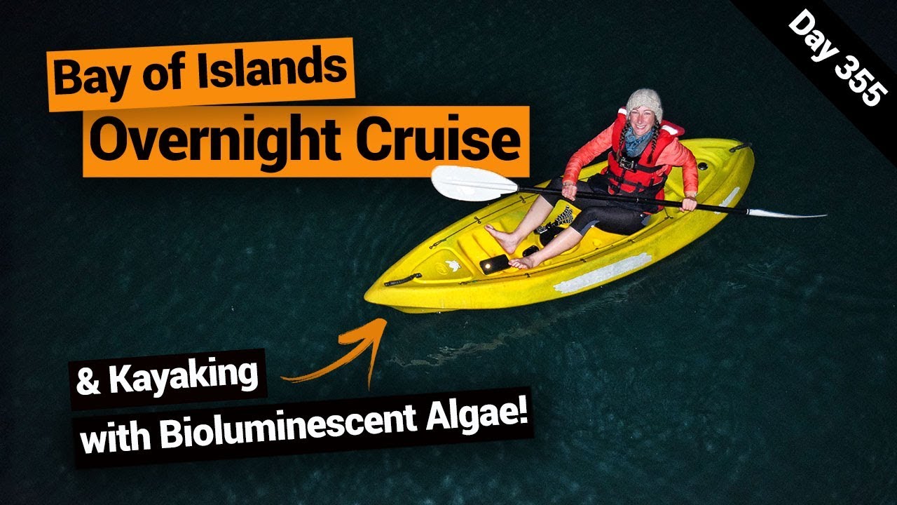 🤩 The Rock Overnight Cruise in the Bay of Islands – New Zealand's Biggest Gap Year