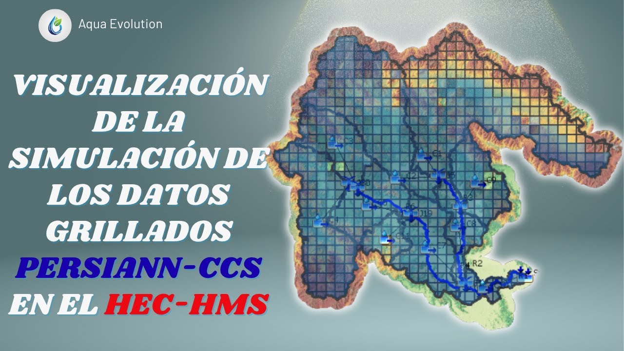 Asi se ven los datos grillados en HEC-HMS 4.13