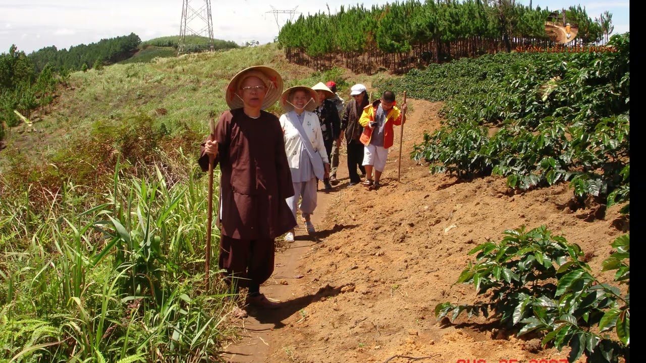 Không có linh hồn sau khi chết - Hòa thượng TỪ THÔNG