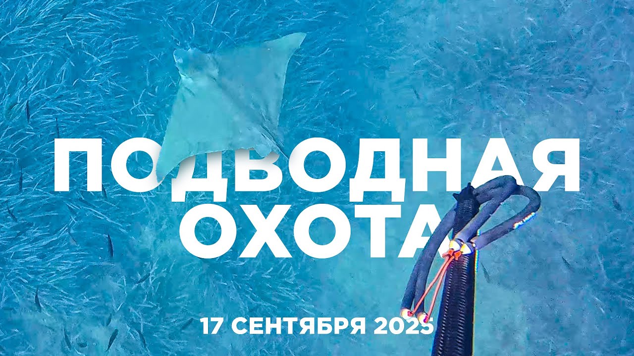 Test Salvimar Ares Carbo 105 | Подводная охота в Торревьехе 17.09.2025