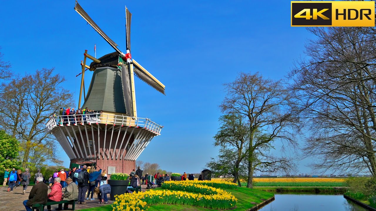 Keukenhof Netherlands🌷Tulip Gardens💐Virtual Walk Full Tour of Keukenhof [4K HDR]