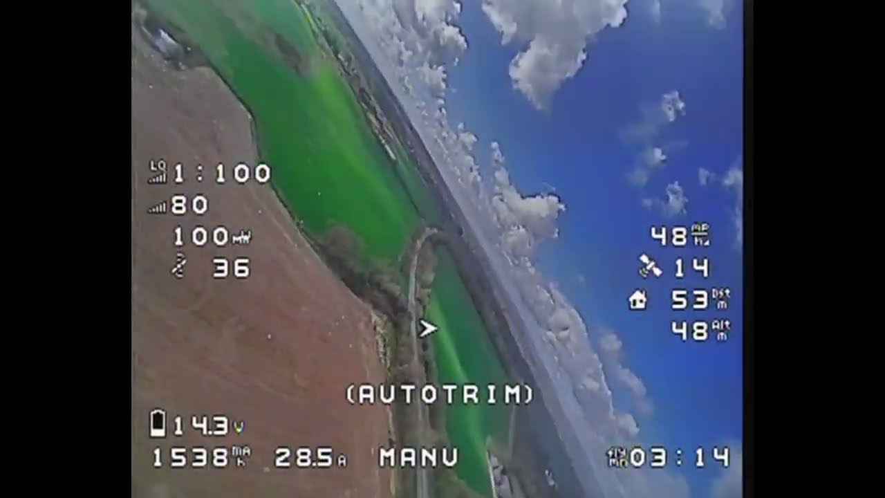 Fixed Wing: AtomRC Dolphin - Maiden Flight