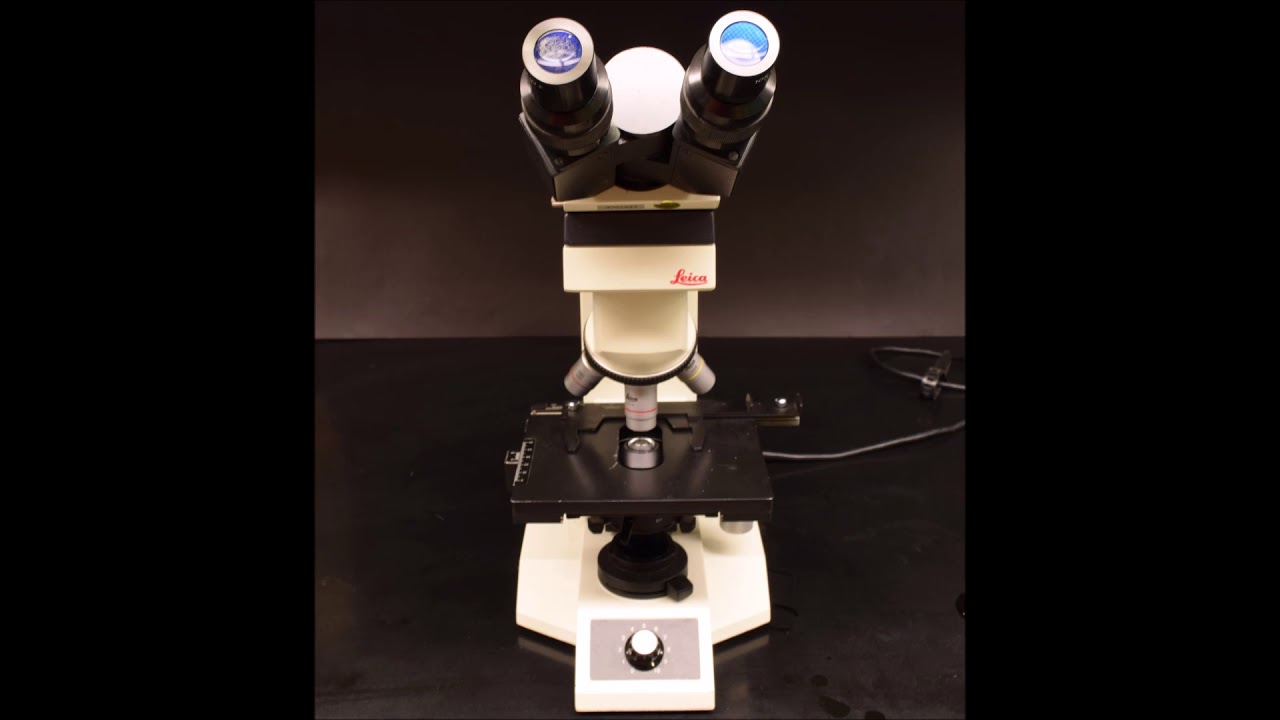 Why I Can't Show You The Coronavirus Under The Microscope