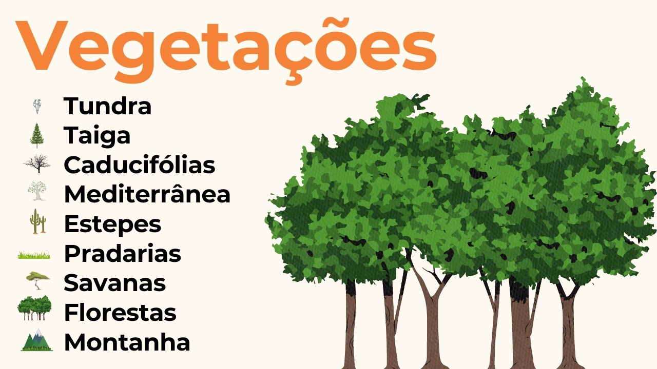 🌲 PAISAGENS VEGETAIS DO MUNDO | Localização e características