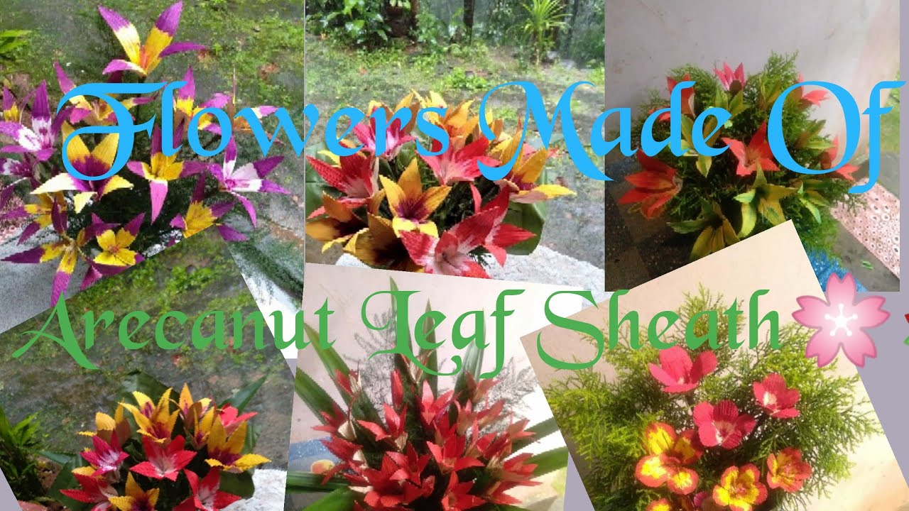 Flowers made of Arechanut Leaf Sheath 🌸💐