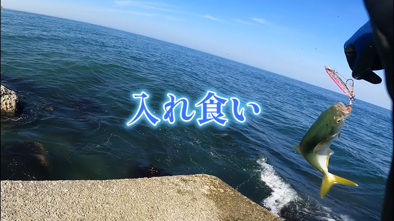 ヒラメが釣れず、ちょっと青物チェックしたら入れ食いでした。【九十九里】＃青物
