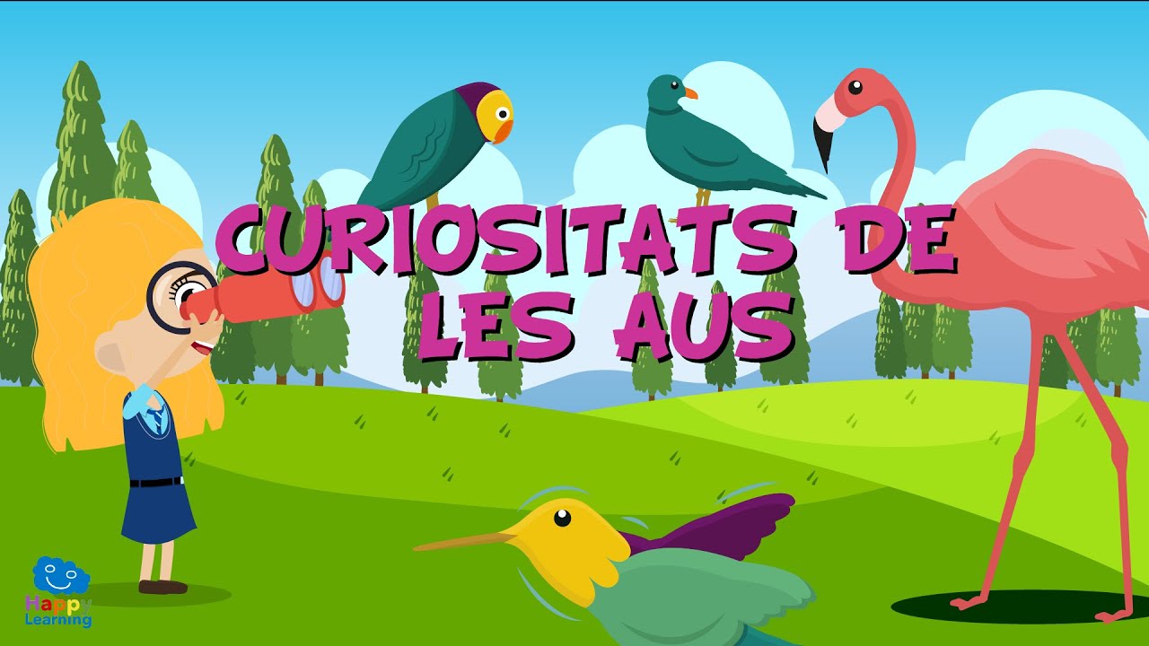 Curiositats de les Aus | Vídeos educatius per a nens en llengua catalana
