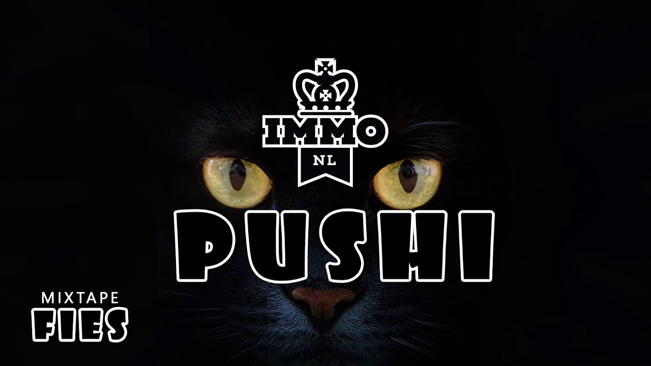 IMMO - Pushi