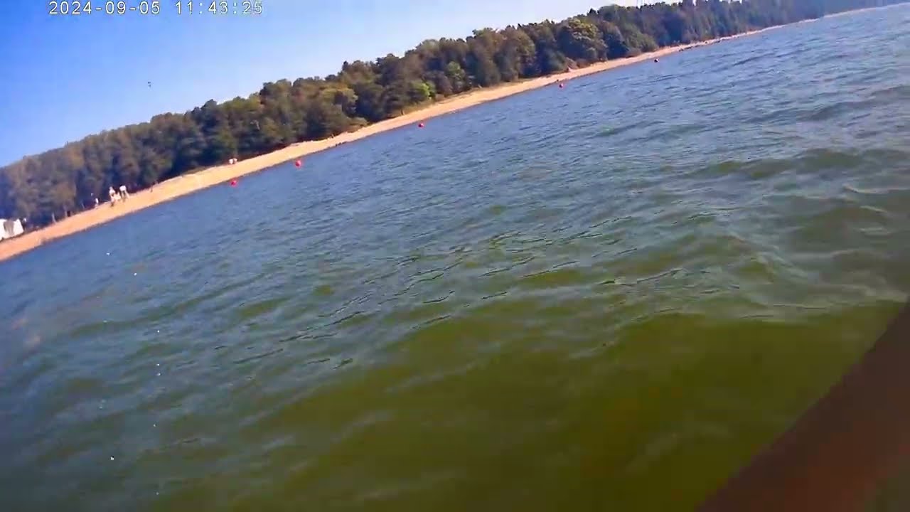 Финский залив, прогулка на SUP? сентябрь 2024 board #youtube #nature #trending  #russia #trend#video