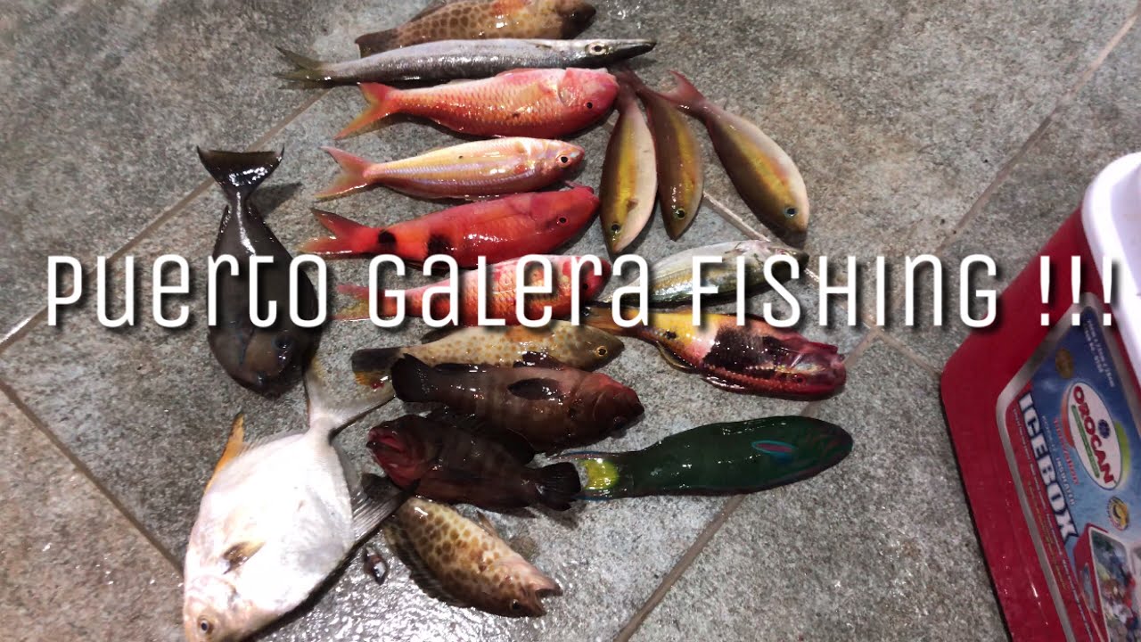 Fishing adventure at Puerto Galera : hook & cook. Cool looking fish caught in mindoro phillipines 🤙
