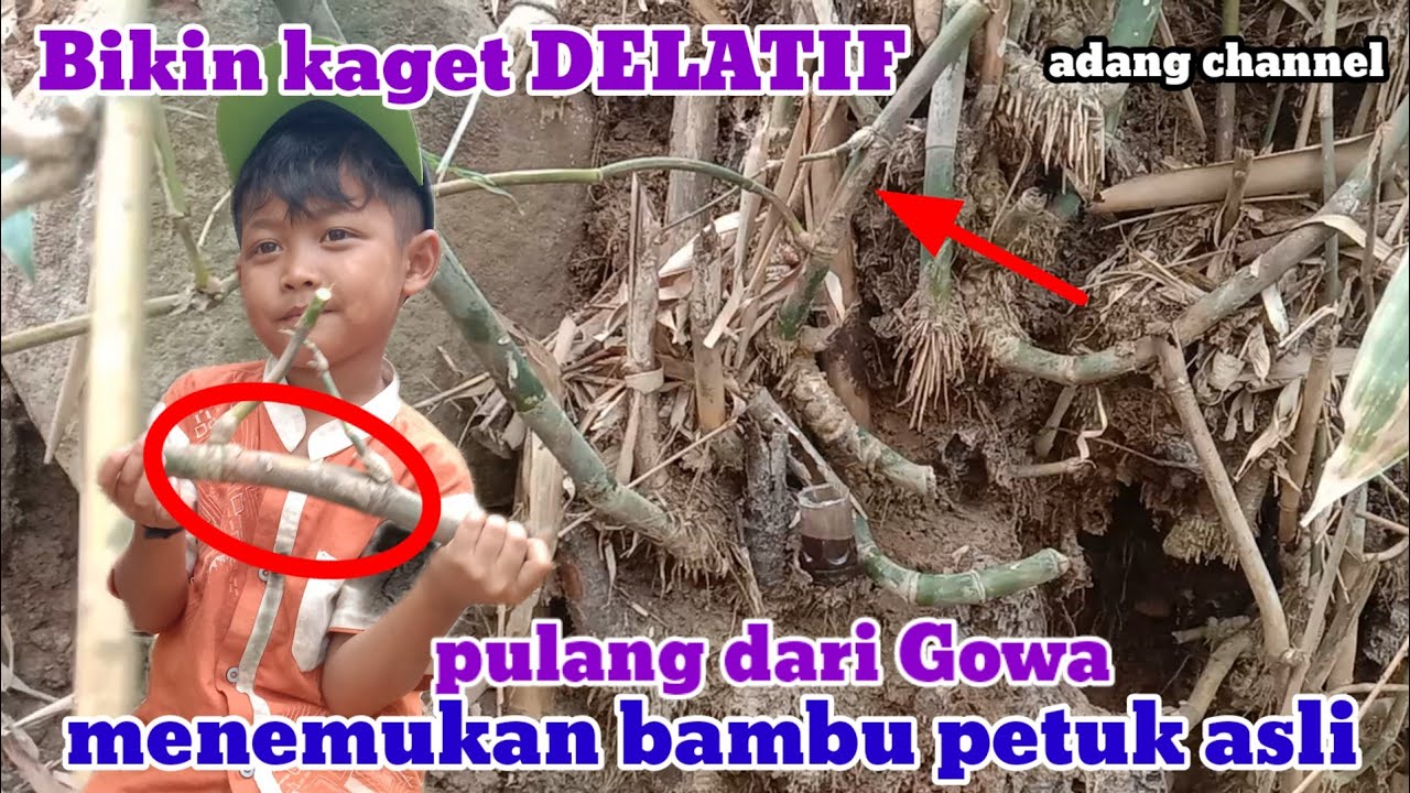 PART 1.TERKEJUT.!! DELATIF MENEMUKAN BAMBU PETUK