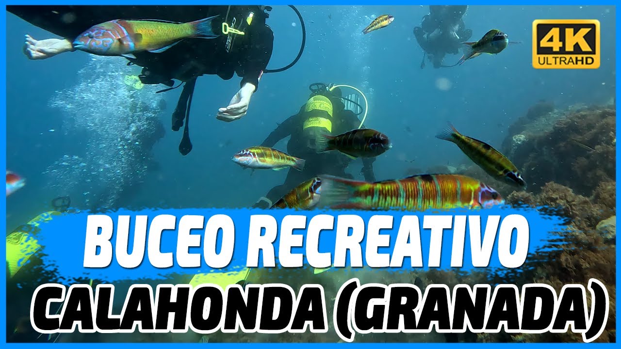 🐠 Buceo recreativo en Calahonda: Bajamos a 20 metros