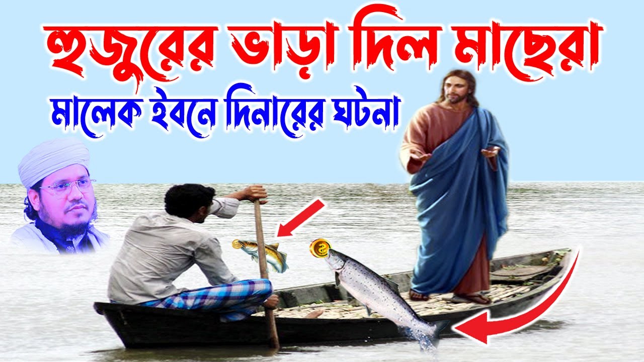মাওলানা মোজাম্মেল হক সাঈদ |  Maulana Mozammel Haque sayed মঈনুদ্দিন নদীর মাছেরা হুজুরের ভাড়া দিল
