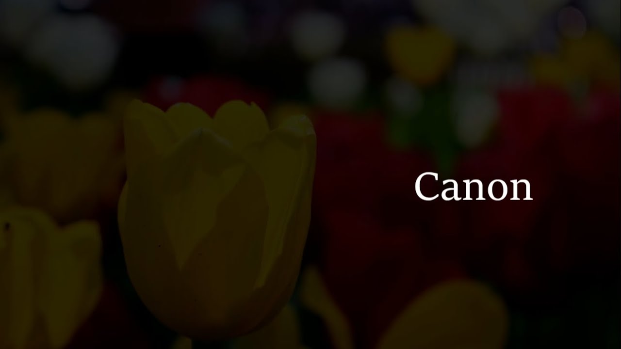 Canon - Pachelbel || Piano (Music Score & Keyboard Tutorial)