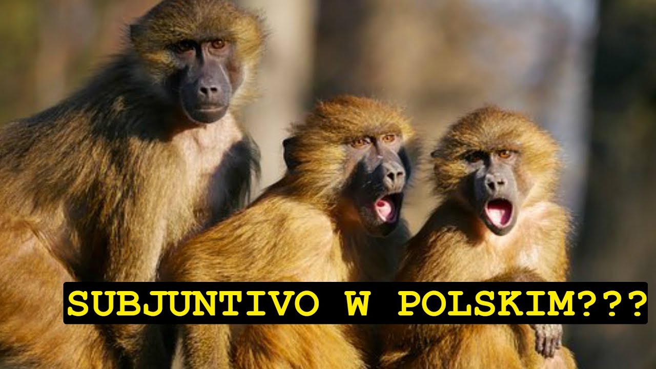Subjuntivo - Wstęp | Tryb Łączący W Języku Polskim I Hiszpańskim | Hablo Español #63