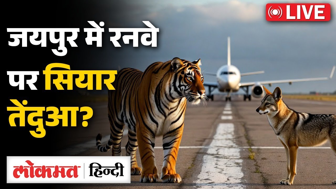 Jaipur में रनवे पर सियार, तेंदुआ, पक्षी और सांप| Mumbai Taxiway Crash | Aviation System Question?VK2
