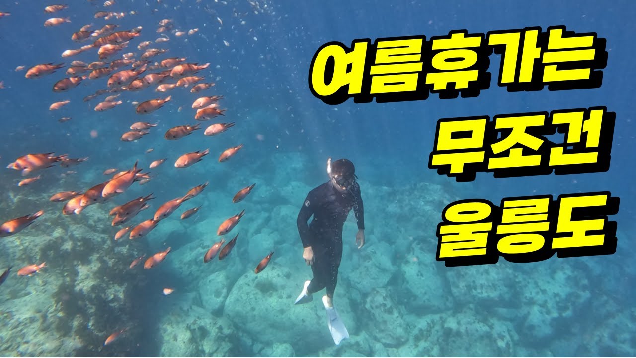 내 생에 최고의 휴양지 울릉도! 안좋은 민심? 비싼 물가? #울릉도 #울릉도맛집  #프리다이빙