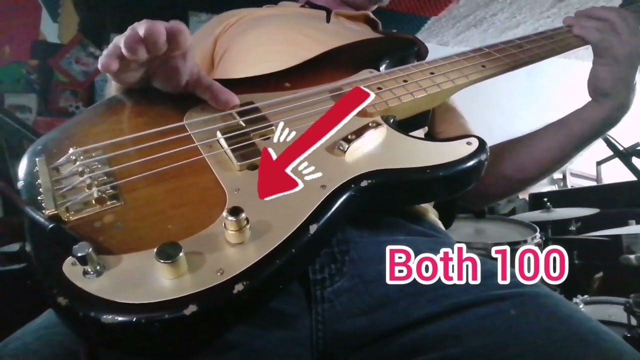 Les Claypool Pachyderm pups. One Tone control & EMG BTC control.