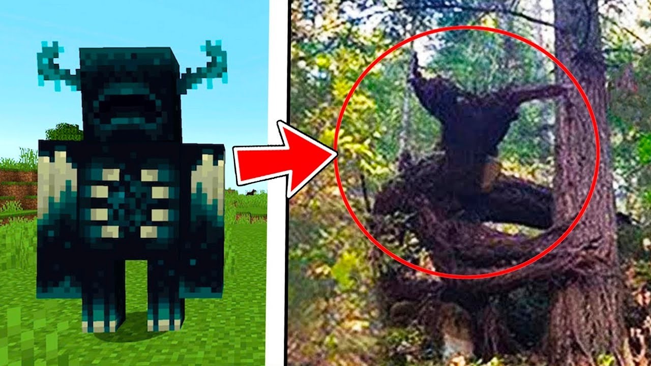 Mobs de Minecraft captados en la vida real...