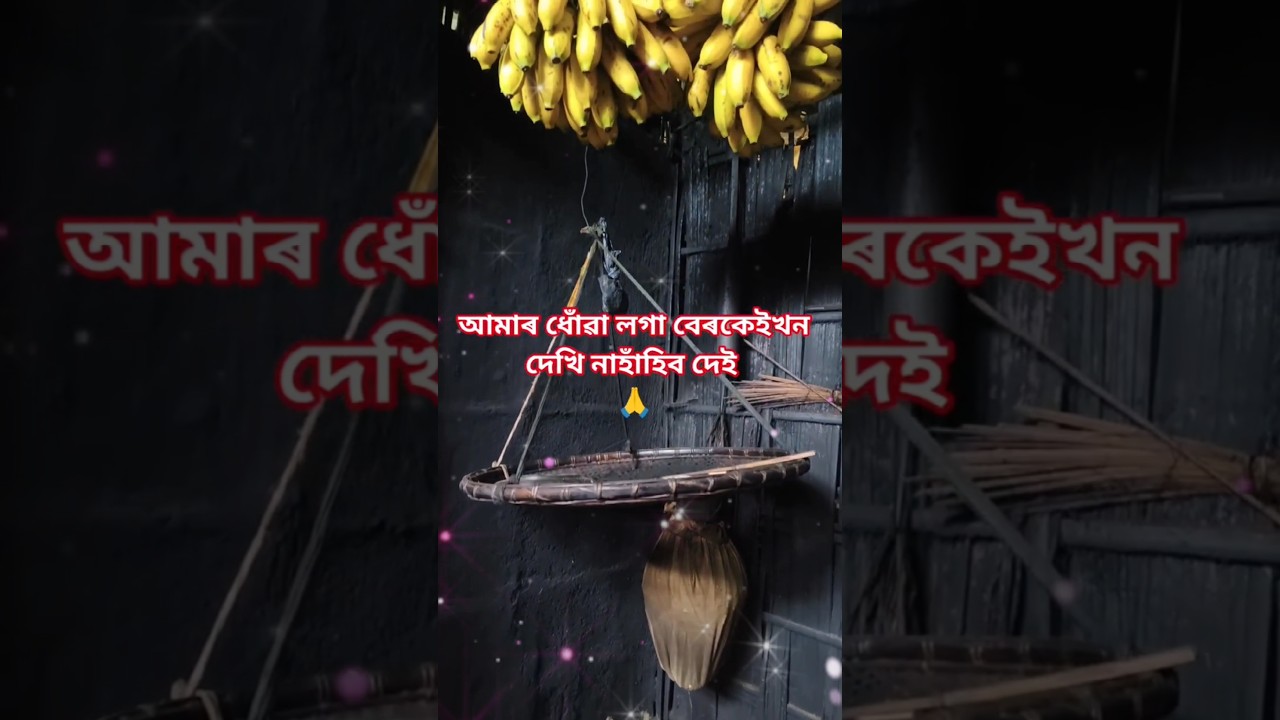 assam village life viral video 🙏