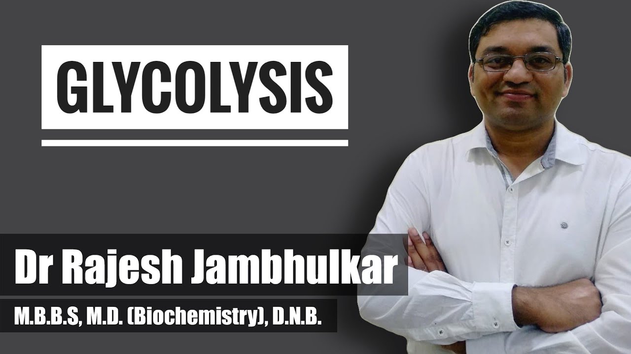 2. Glycolysis- Important points, steps, regulation and energetics