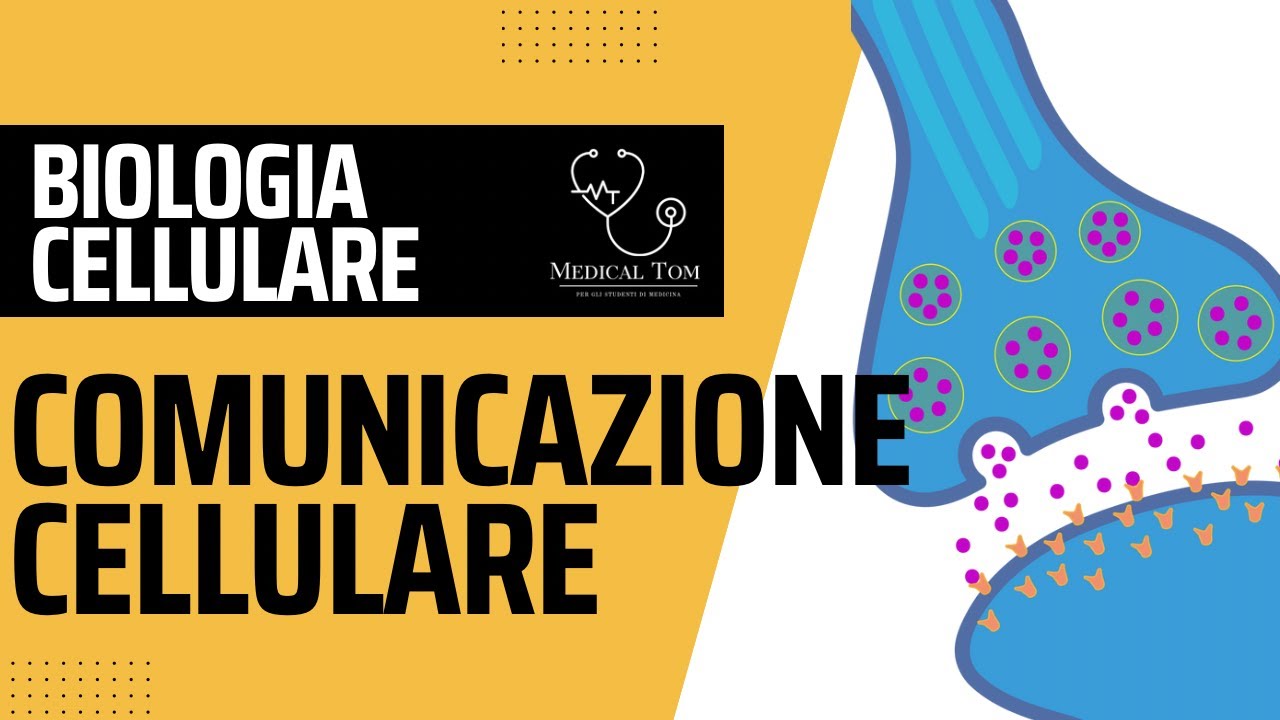 Comunicazione Cellulare |