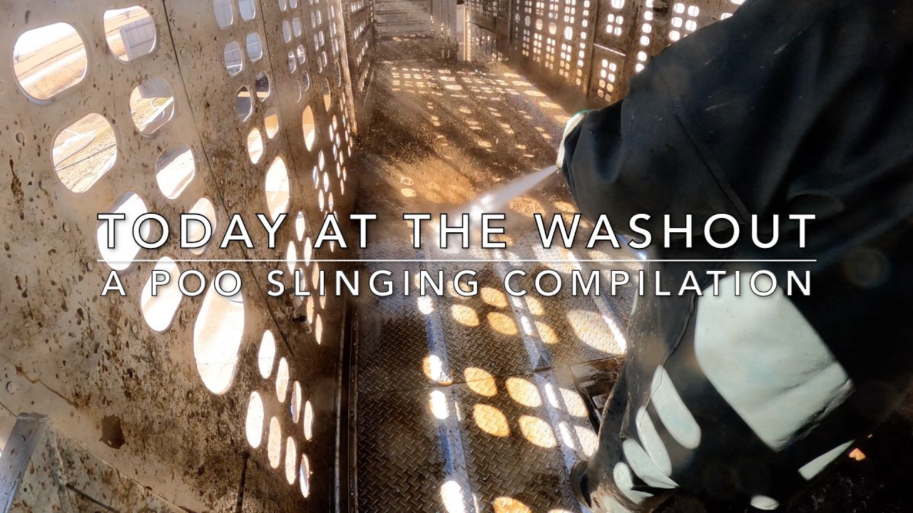 A poo slinging compilation! (Cattle Washout ASMR Ep. 21)