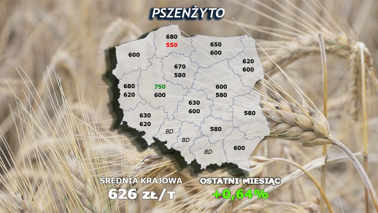 #329 agro wiadomości nonstop - 31.03.2026