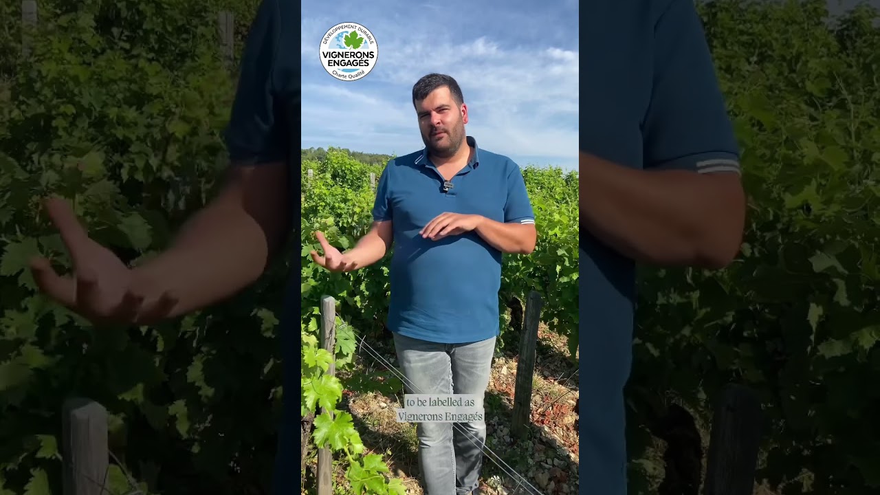 Big News #villeboiswines #developpementdurable #vigneronsengages