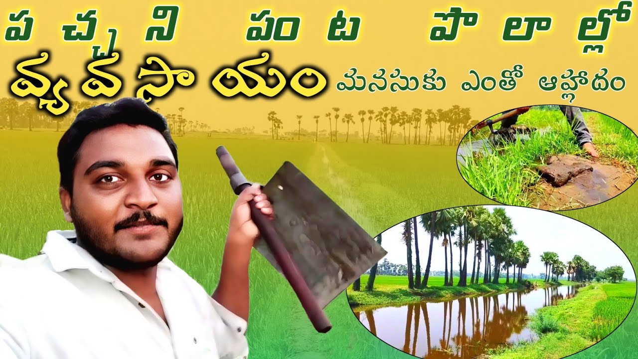 ఎంతైనా మన ఊర్లో,మన పొలంలో,మన మనుషుల మధ్య పని చేసుకుంటుంటే ఆ సంతృప్తి వేరు||