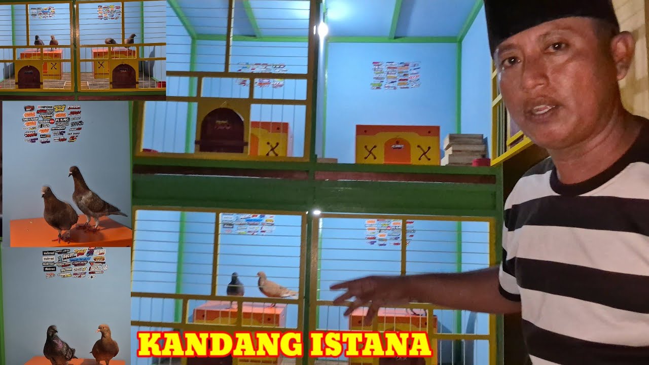 Pemindahan player ring 26 kendang terbaru koplak area salam satu semangat bolo 24 Feb  2026