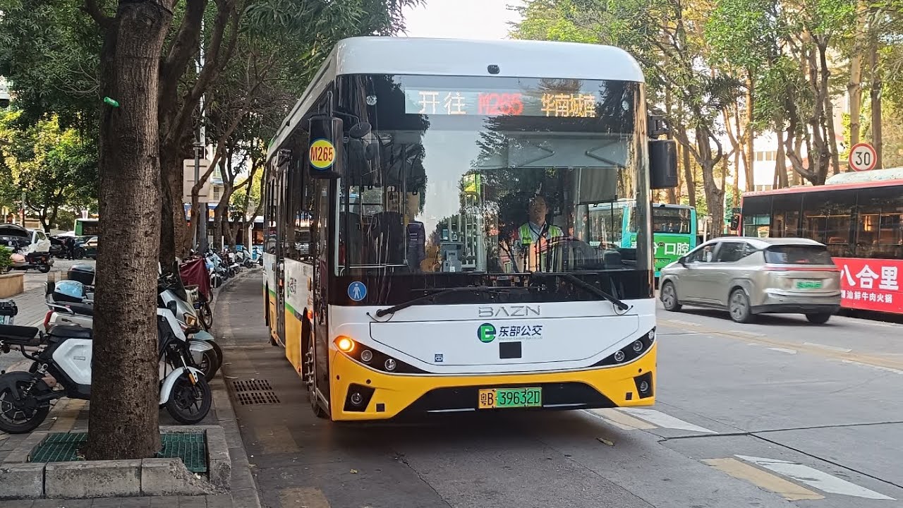 [平安車隊真的太平安了]深圳東部公交M265糧食交易中心➡️翠楓豪園