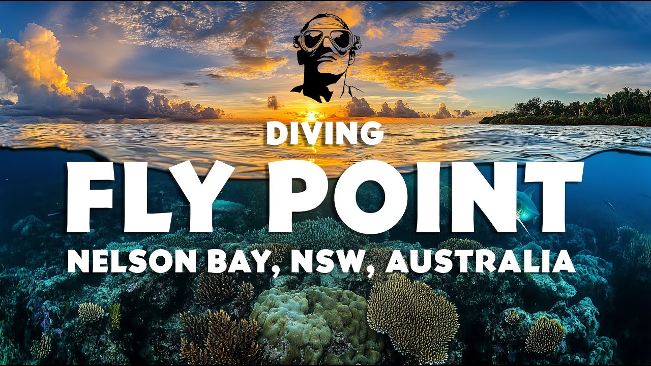 Exploring the underwater beauty of Fly Point, in Nelson Bay!