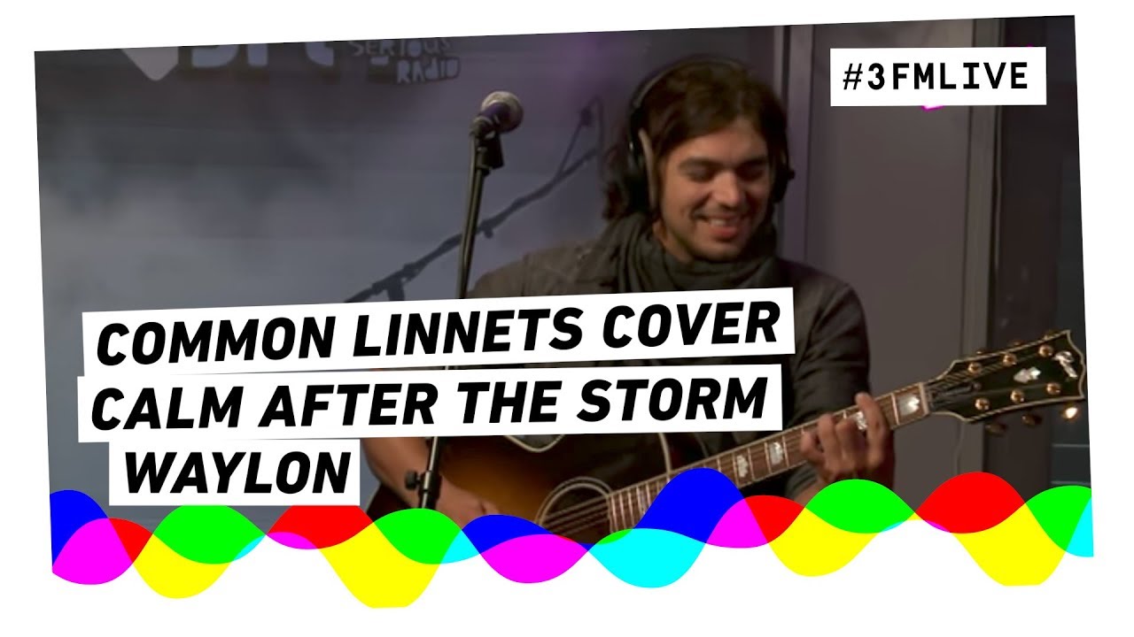Waylon - Calm After The Storm (Common Linnets cover) | 3FM Live