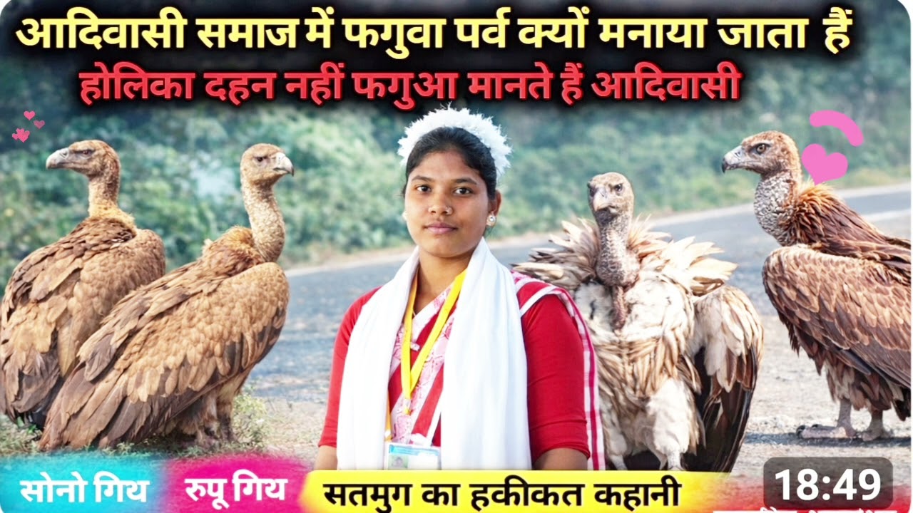 हकीकत कहानीआदिवासी होलिका दहन नहीं❎फागुवा मनाते हैं✅सारू पहाड़ का कहानी में8.7सोनो गिदही एवं रूपोगिद